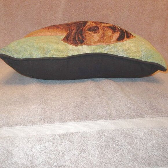 Linda Picken Dachshund Weiner Dog Tapestry Throw Pillow 3D Textured Sausage Pup - Picture 6 of 10